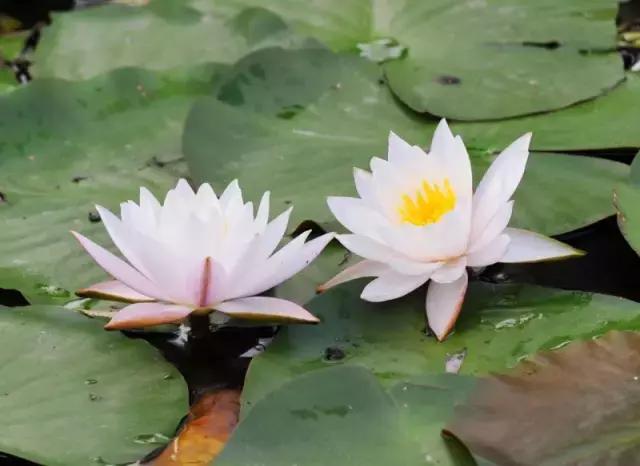 重庆可遮雨户外烧烤的地方,重庆高温消暑的地方