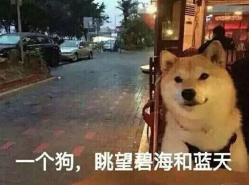 白人女子骂亚裔小伙,白人大骂亚裔女子