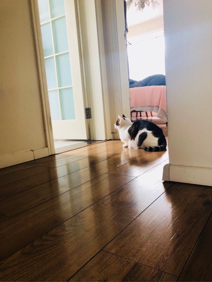 房屋里坏了什么由房东修理,房主家东西坏了该谁修