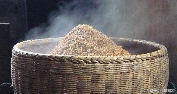 固态稻谷酒和半固态稻谷酒,小型酿酒设备家庭型酿固态酒