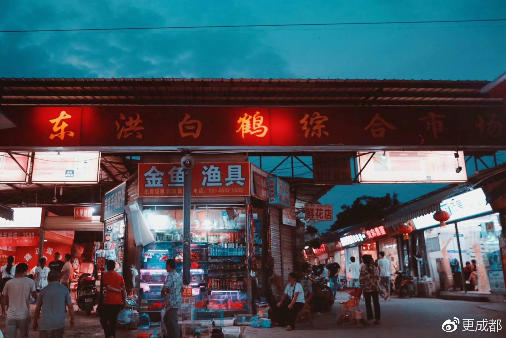 成都版士林夜市，便宜又好吃，周末请带好你的胃一家家挨到吃！