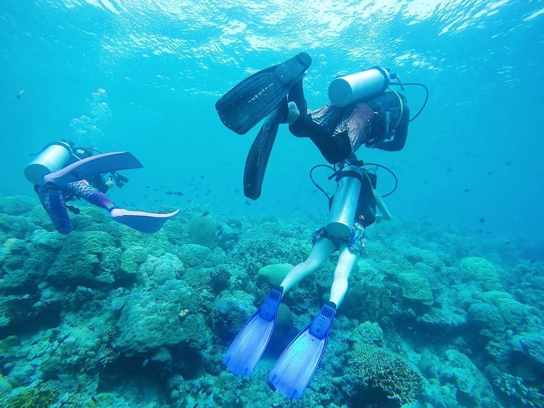 印尼美娜多潜水,印尼美娜多潜水考证