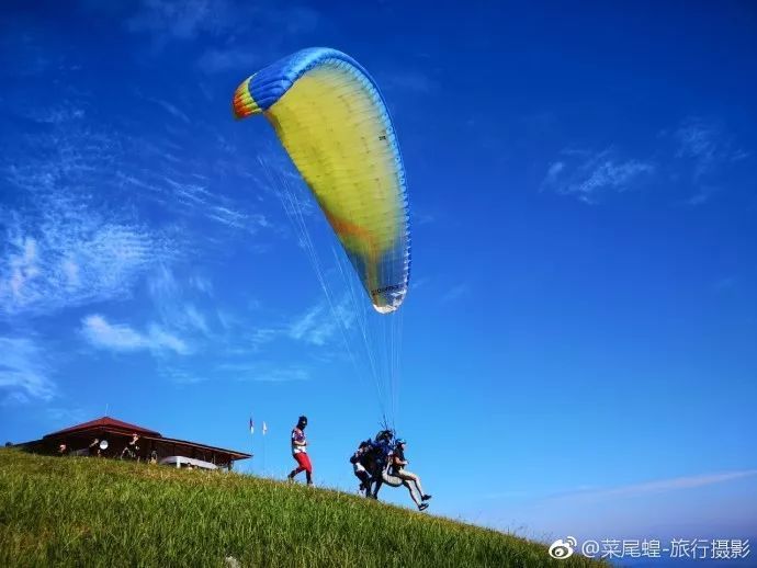 印尼美娜多潜水,印尼美娜多潜水考证