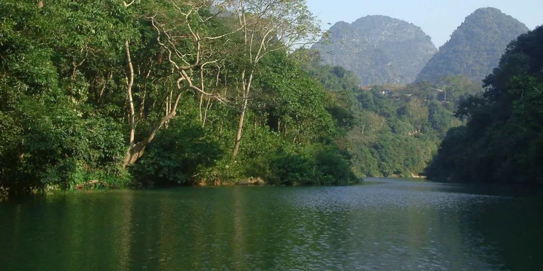 三伏天，龙虎山的“山大王”们开始消暑养生了！