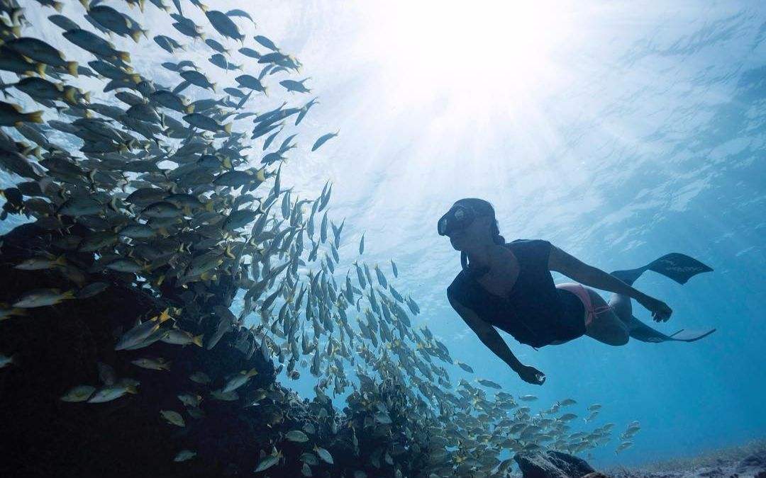 不会游泳可以去海底潜水吗,不会游泳可以体验美人鱼吗