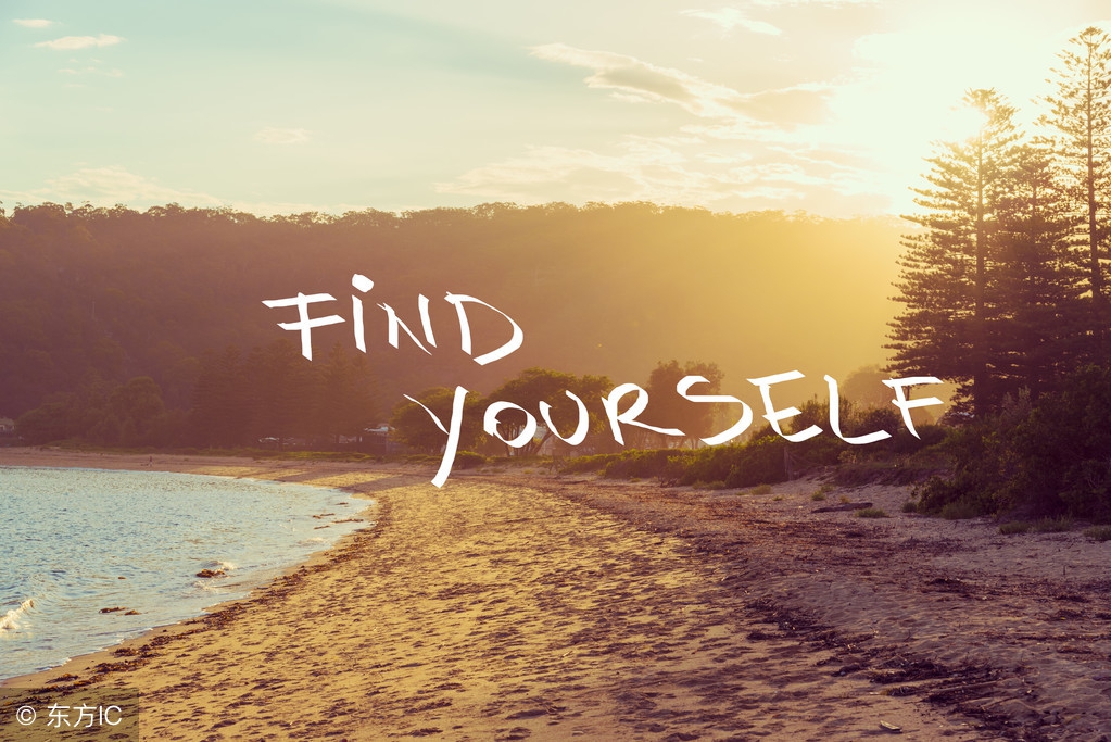 一篇文章收益从8元到210元,一篇文章收益40000元