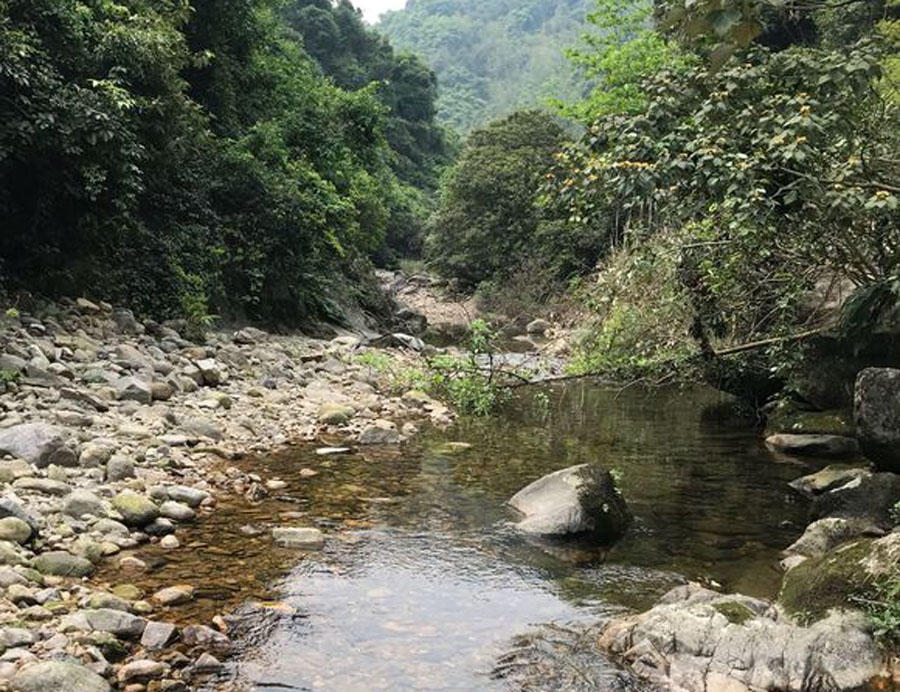溪流钓常见的鱼,野钓常见的小鱼