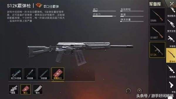 刺激战场哪个*弹子**伤害值最高？排行榜第一名问你服不服