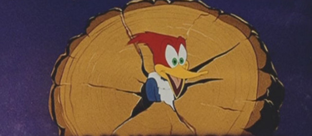 盘点那些陪伴我们十年的动画片,这些都是你曾经追过的动画片