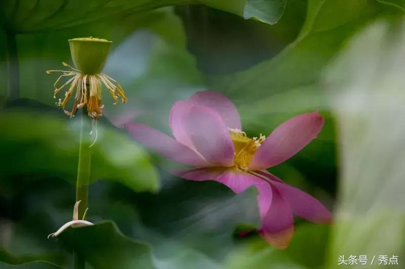 铜川清凉玩水的地方,铜川夏日美景