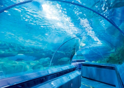 「摄影干货」降服讨厌的反光