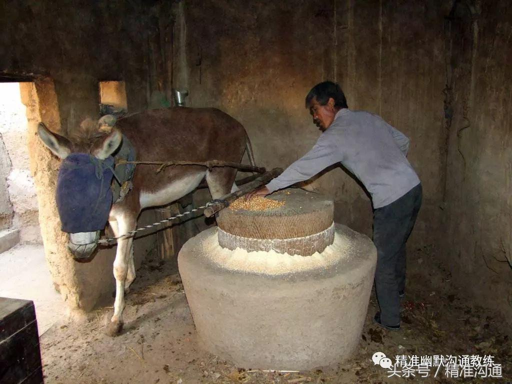 什么是合作开发利益共享,什么是合作合作就是相互配合