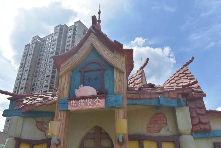 萌宠小香猪乐园,遵义小香猪