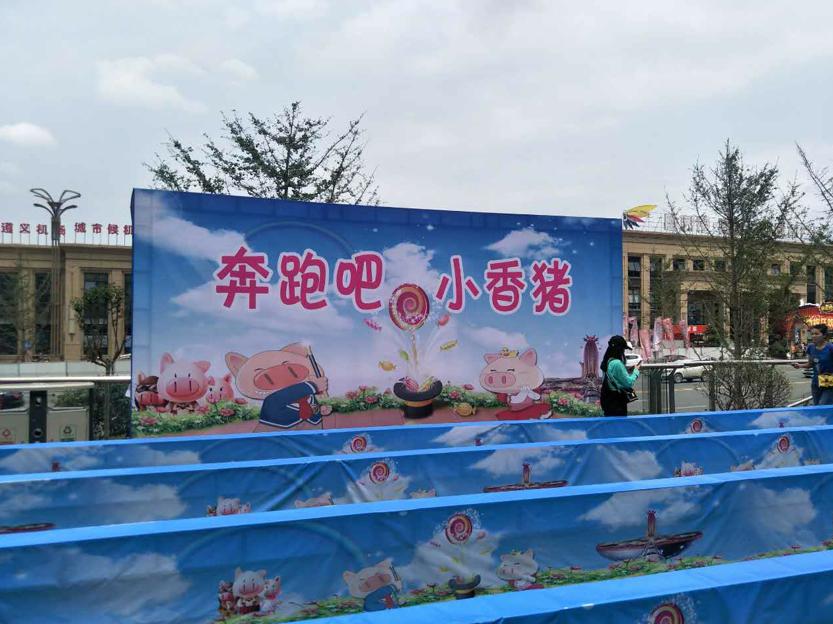 萌宠小香猪乐园,遵义小香猪