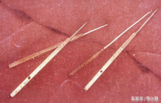 扒一扒我国特别逆天的*物文**！爱马仕、LV什么的弱爆了！