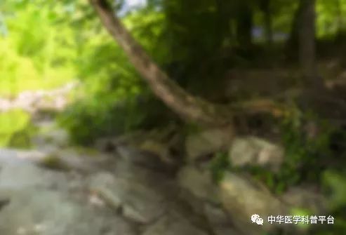 高血压停药的危害,高血压的危害视频