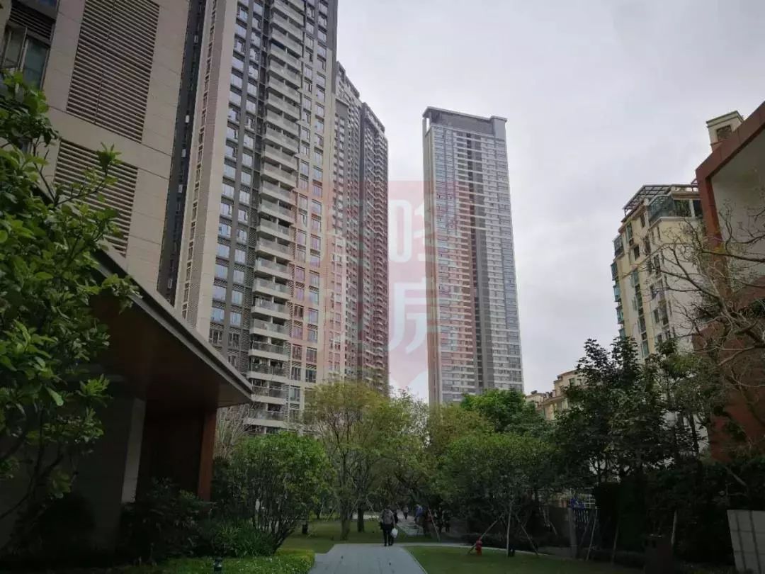 南山科技园500万房子,800万起南山科技园学位房如何选