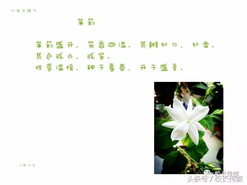 学习小古文的乐趣,小古文学习的方法和技巧