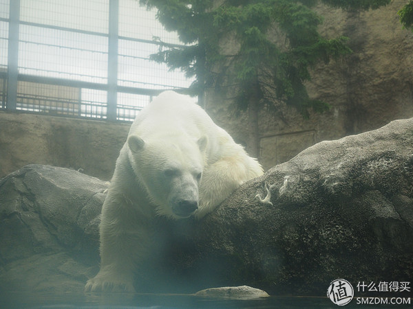 北海道札幌的散步之旅,日本北海道小樽旅游攻略