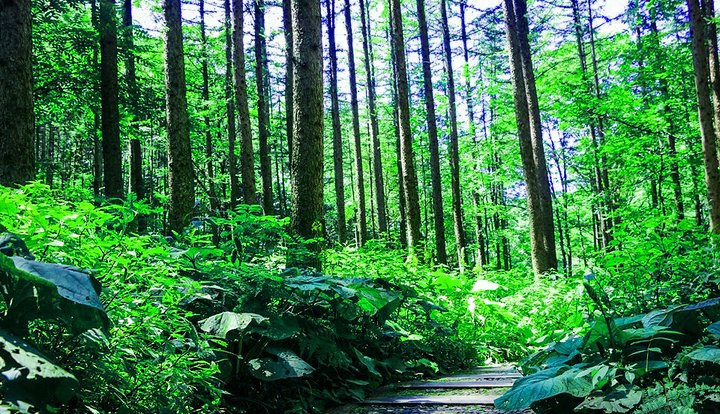 河南高速最多的县城,河南最美高速和最贵高速