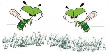 防蚊灭蚊攻略详细,秋季防蚊大作战