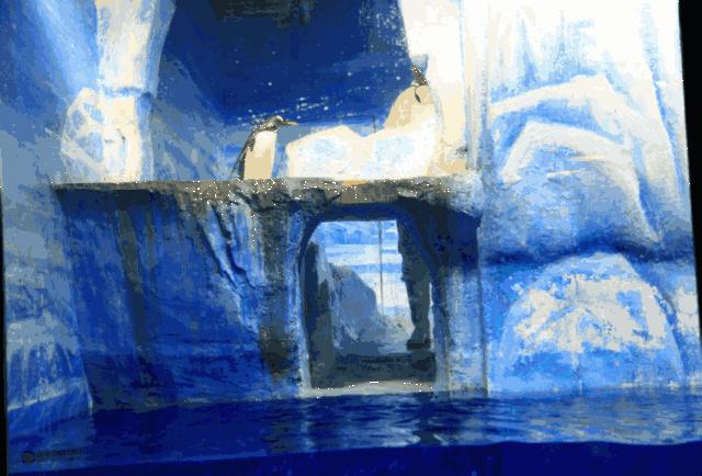 哈尔滨之夏游玩攻略,迷人的哈尔滨之夏音乐会