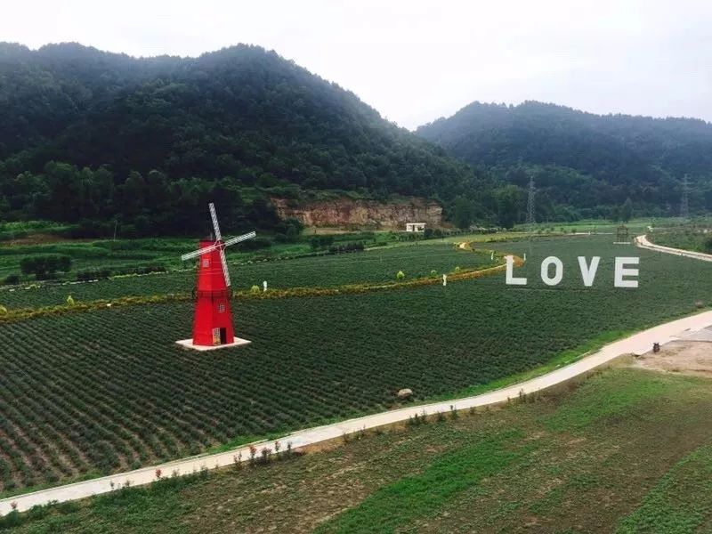 溽暑蒸人什么意思,溽暑蒸人