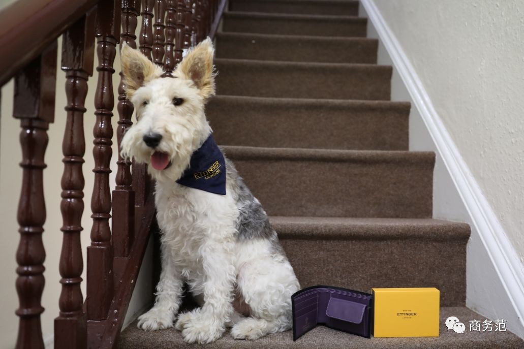 英国必买品牌推荐,去英国必买的十大品牌