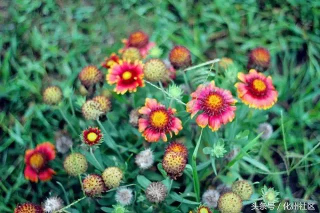 不用1000块钱就可以去玩的岛,不需要签证的4个小时的海岛