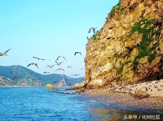 不用签证可以去的岛屿,不花钱的海岛旅行