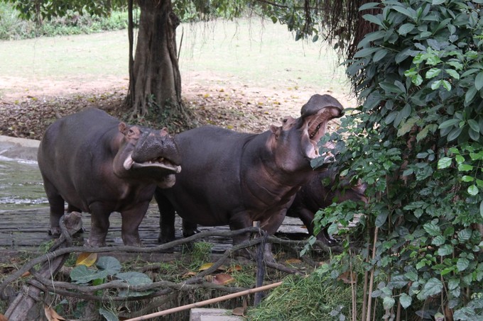 广州3天两夜亲子游,广州亲子游玩4天