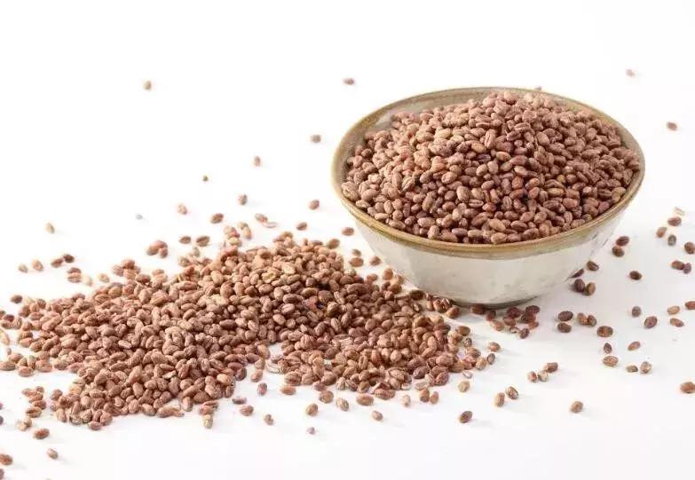 只赚不赔的小本生意大全,利润很吓人的10种生意商机