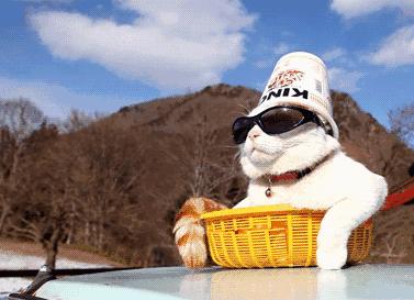 宝宝防晒全攻略｜只要夏天不要黑炭