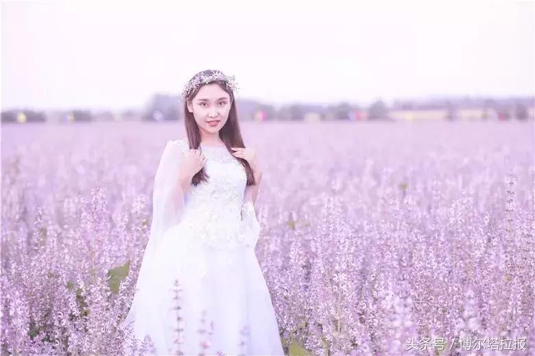 投票啦！快来支持你喜欢的紫苏仙子吧！