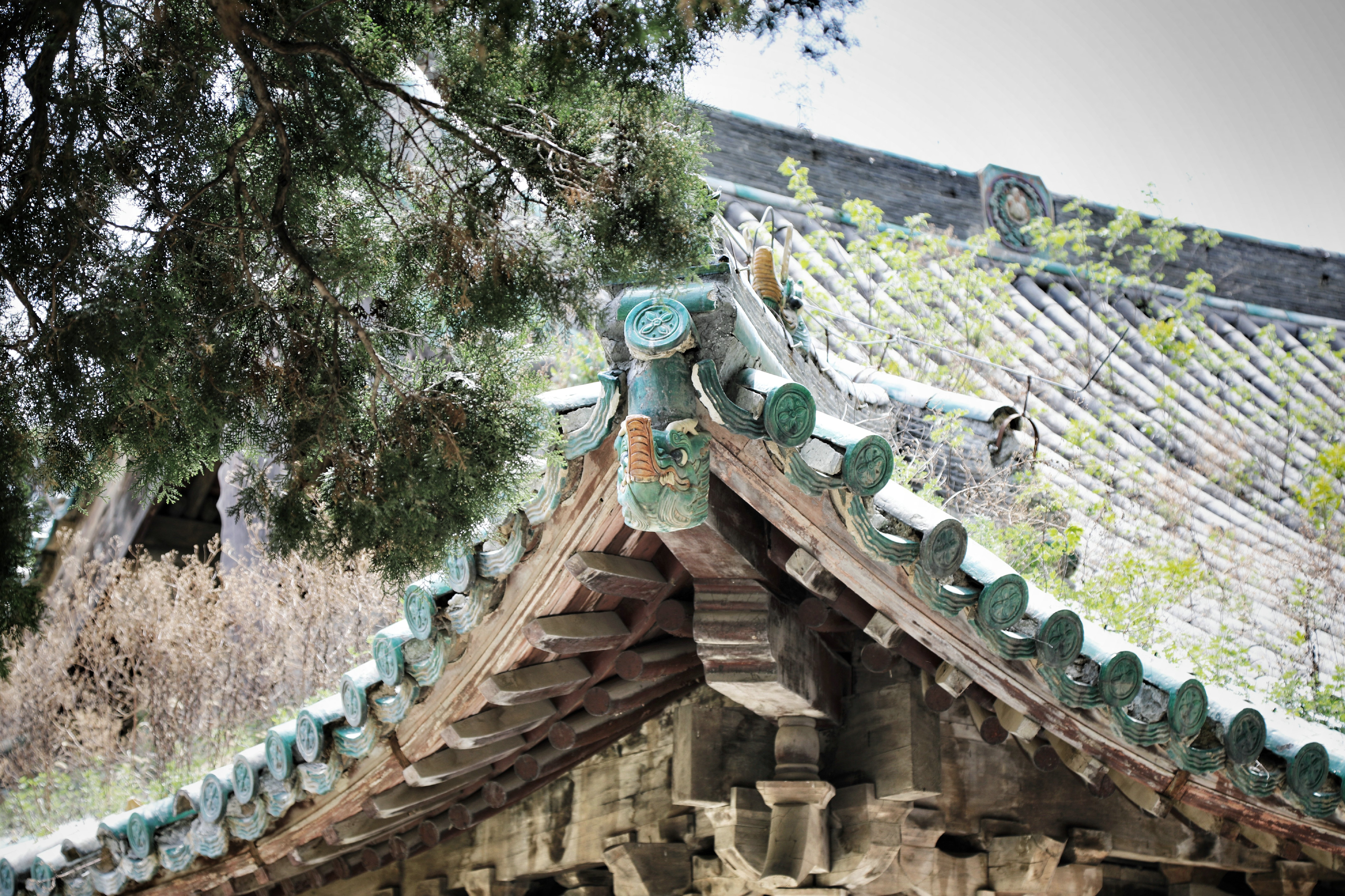 哪些地方有塔林,什么是塔林