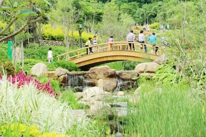 厦门适合情侣去的旅游,厦门适合情侣旅游的地方