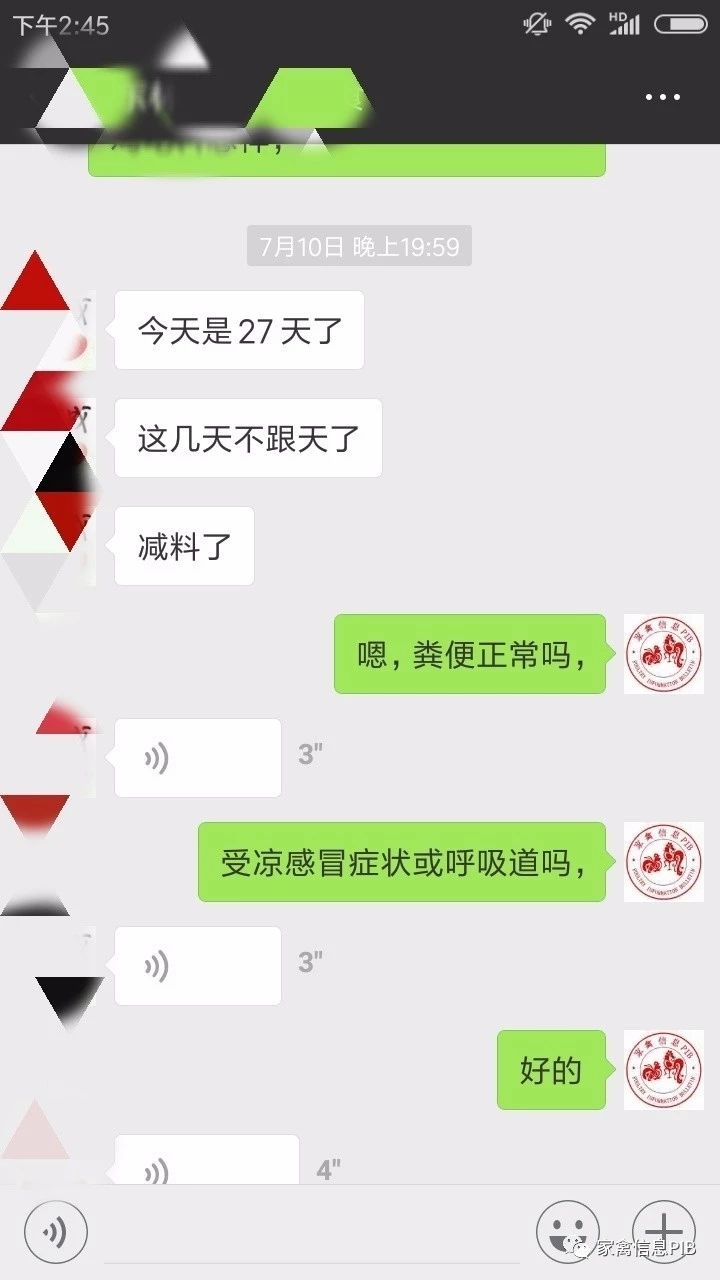 后期鸡吃料不增怎么办,肉鸡后期吃葡萄糖好吗