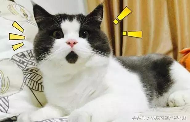 紧急提醒警方辟谣被骗,紧急预警升级版冒充熟人诈骗