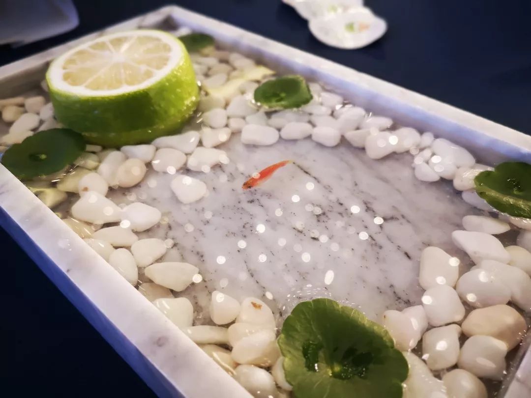 中国饮品快报创意饮品大赛,中国饮品快报大赛