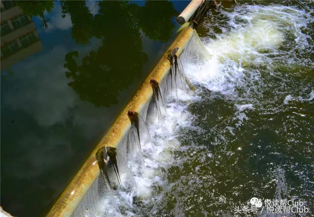 复兴安顺贯城河，保护我们的母亲河，每位安顺人责无旁贷！