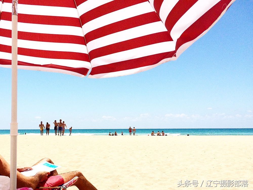 2020年ipa摄影奖获奖作品,ippa摄影大赛获奖作品2010