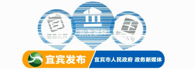 改革开放前后宜宾的变化,改革开放后宜宾市场