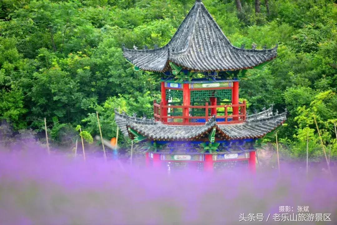 又双叒叕来搞事，解锁“网红”打卡新姿势，老乐山网红走廊等你来