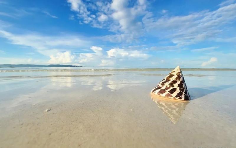 乘飞机托运行李箱丢失怎么办,乘飞机行李丢失怎么办理