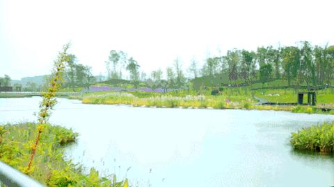 小众又免费！成都地铁直达的天然氧吧！清凉洗肺又解暑！