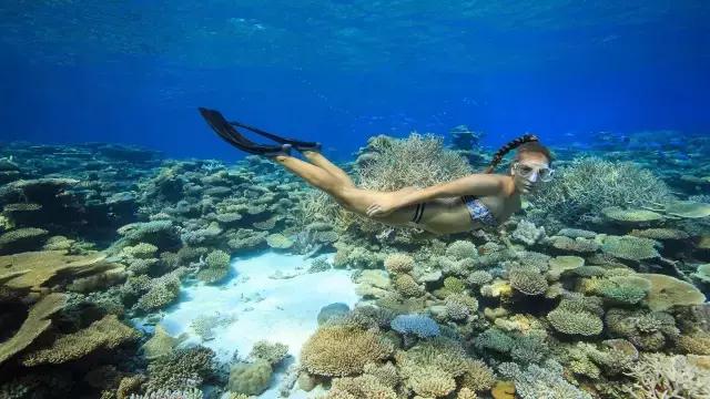 最适合浮潜的海,十大浮潜地点