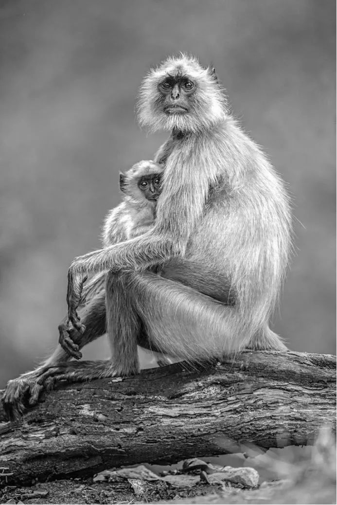 美到极致的自然风光摄影师大赛,自然之美第7集