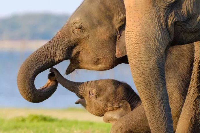 美到极致的自然风光摄影师大赛,自然之美第7集