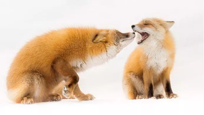 《自然之美》,自然之美摄影大赛