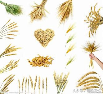 学拼音技巧声母韵母整体认读音节,学拼音声母技巧